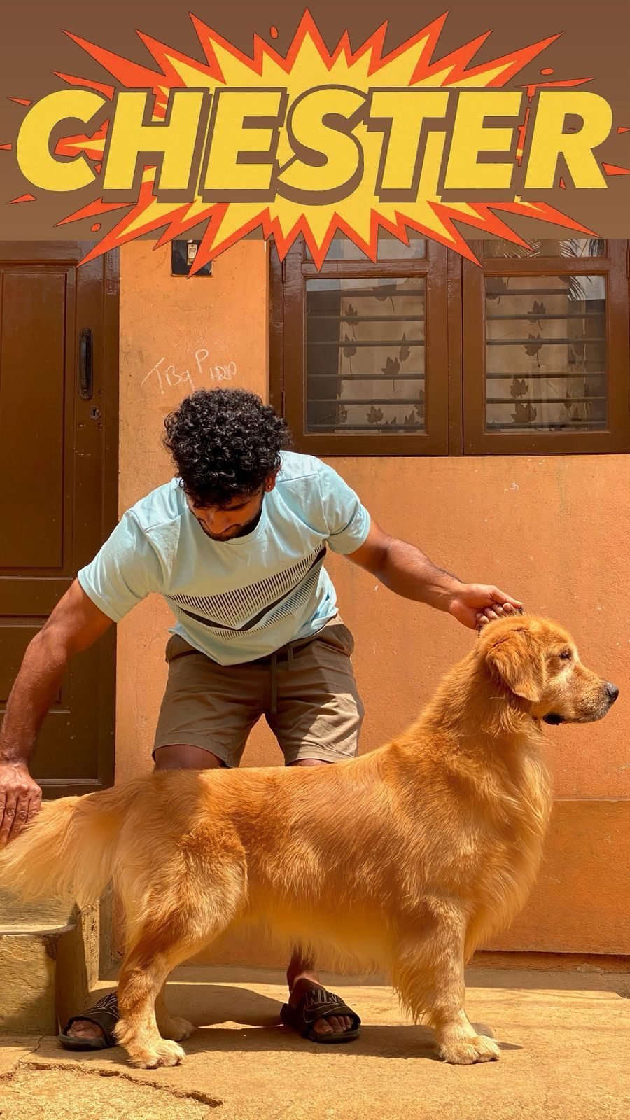 Golden Retriever with its owner at home